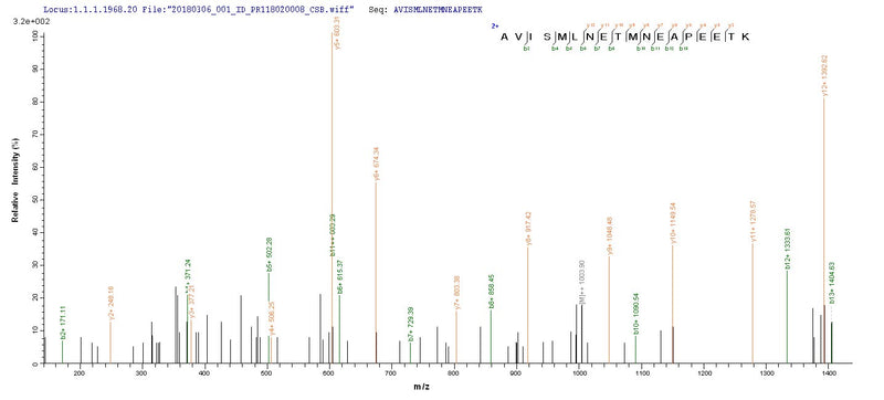 Based on the SEQUEST from database of E.coli host and target protein, the LC-MS/MS Analysis result of this product could indicate that this peptide derived from E.coli-expressed Mus musculus (Mouse) Slc1a2.