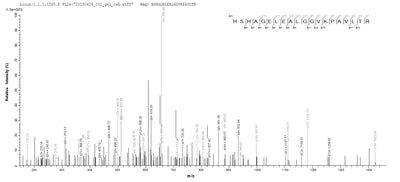 Based on the SEQUEST from database of E.coli host and target protein, the LC-MS/MS Analysis result of this product could indicate that this peptide derived from E.coli-expressed Homo sapiens (Human) SLC4A1.Recombinant Human Band 3 Anion Transport Protein (SLC4A1) Protein (His&Myc)