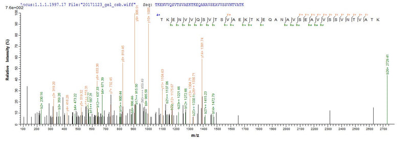 Based on the SEQUEST from database of E.coli host and target protein, the LC-MS/MS Analysis result of this product could indicate that this peptide derived from E.coli-expressed Homo sapiens (Human) SNCG.