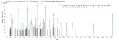 Based on the SEQUEST from database of E.coli host and target protein, the LC-MS/MS Analysis result of this product could indicate that this peptide derived from E.coli-expressed Homo sapiens (Human) SNCG.