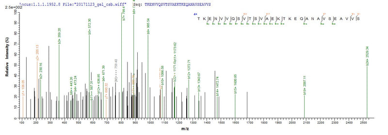 Based on the SEQUEST from database of E.coli host and target protein, the LC-MS/MS Analysis result of this product could indicate that this peptide derived from E.coli-expressed Homo sapiens (Human) SNCG.