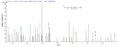 Based on the SEQUEST from database of E.coli host and target protein, the LC-MS/MS Analysis result of this product could indicate that this peptide derived from E.coli-expressed Homo sapiens (Human) SOCS1.Recombinant Human Suppressor Of Cytokine Signaling 1 (SOCS1) Protein (His)