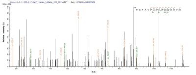 Based on the SEQUEST from database of E.coli host and target protein, the LC-MS/MS Analysis result of this product could indicate that this peptide derived from E.coli-expressed Homo sapiens (Human) SOCS1.Recombinant Human Suppressor Of Cytokine Signaling 1 (SOCS1) Protein (His)
