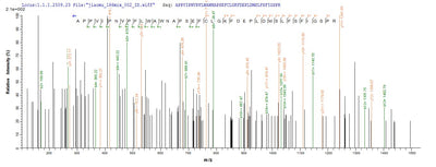 Based on the SEQUEST from database of E.coli host and target protein, the LC-MS/MS Analysis result of this product could indicate that this peptide derived from E.coli-expressed Homo sapiens (Human) SPAM1.Recombinant Human Hyaluronidase Ph-20 (SPAM1) Protein (His-SUMO)
