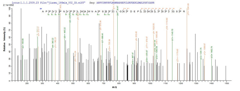 Based on the SEQUEST from database of E.coli host and target protein, the LC-MS/MS Analysis result of this product could indicate that this peptide derived from E.coli-expressed Homo sapiens (Human) SPAM1.Recombinant Human Hyaluronidase Ph-20 (SPAM1) Protein (His-SUMO)