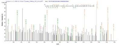Based on the SEQUEST from database of E.coli host and target protein, the LC-MS/MS Analysis result of this product could indicate that this peptide derived from E.coli-expressed Homo sapiens (Human) SPAM1.Recombinant Human Hyaluronidase Ph-20 (SPAM1) Protein (His-SUMO)