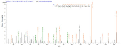 Based on the SEQUEST from database of E.coli host and target protein, the LC-MS/MS Analysis result of this product could indicate that this peptide derived from E.coli-expressed Homo sapiens (Human) SPI1.Recombinant Human Transcription Factor Pu.1 (SPI1) Protein (His)