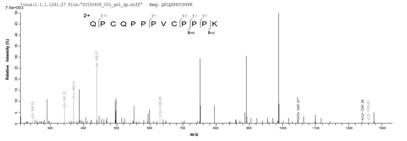 Based on the SEQUEST from database of E.coli host and target protein, the LC-MS/MS Analysis result of this product could indicate that this peptide derived from E.coli-expressed Mus musculus (Mouse) Sprr2b.
