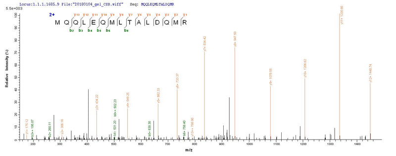 Based on the SEQUEST from database of E.coli host and target protein, the LC-MS/MS Analysis result of this product could indicate that this peptide derived from E.coli-expressed Homo sapiens (Human) STAT3.Recombinant Human Signal Transducer And Activator Of Transcription 3 (STAT3) Protein (His-SUMO)