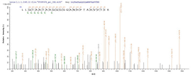 Based on the SEQUEST from database of E.coli host and target protein, the LC-MS/MS Analysis result of this product could indicate that this peptide derived from E.coli-expressed Homo sapiens (Human) STAT3.Recombinant Human Signal Transducer And Activator Of Transcription 3 (STAT3) Protein (His-SUMO)