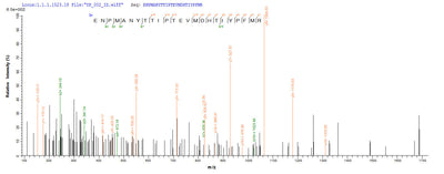 Based on the SEQUEST from database of E.coli host and target protein, the LC-MS/MS Analysis result of this product could indicate that this peptide derived from E.coli-expressed Mus musculus (Mouse) Sult1a1.Recombinant Mouse Sulfotransferase 1A1 (SULT1A1) Protein (His-SUMO&Myc)