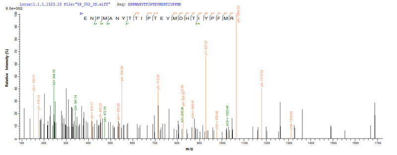 Based on the SEQUEST from database of E.coli host and target protein, the LC-MS/MS Analysis result of this product could indicate that this peptide derived from E.coli-expressed Mus musculus (Mouse) Sult1a1.Recombinant Mouse Sulfotransferase 1A1 (SULT1A1) Protein (His-SUMO&Myc)