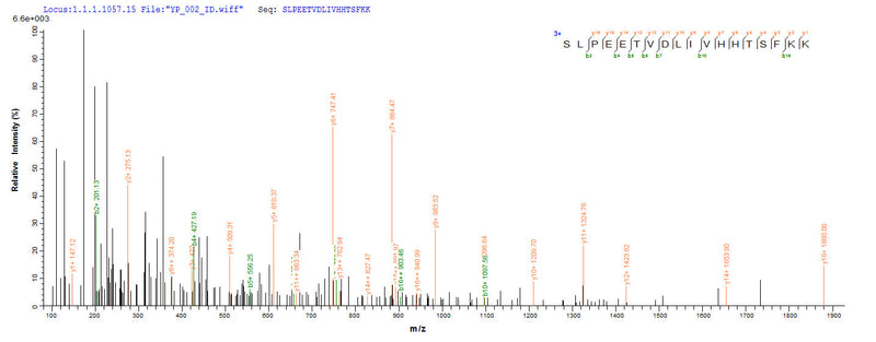 Based on the SEQUEST from database of E.coli host and target protein, the LC-MS/MS Analysis result of this product could indicate that this peptide derived from E.coli-expressed Mus musculus (Mouse) Sult1a1.Recombinant Mouse Sulfotransferase 1A1 (SULT1A1) Protein (His-SUMO&Myc)