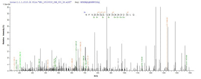 Based on the SEQUEST from database of E.coli host and target protein, the LC-MS/MS Analysis result of this product could indicate that this peptide derived from E.coli-expressed Homo sapiens (Human) TAGLN2.