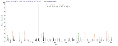 Based on the SEQUEST from database of E.coli host and target protein, the LC-MS/MS Analysis result of this product could indicate that this peptide derived from E.coli-expressed Homo sapiens (Human) TAGLN2.