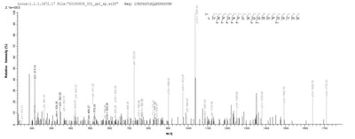 Based on the SEQUEST from database of E.coli host and target protein, the LC-MS/MS Analysis result of this product could indicate that this peptide derived from E.coli-expressed Homo sapiens (Human) TEAD1.Recombinant Human Transcriptional Enhancer Factor Tef-1 (TEAD1) Protein (His)