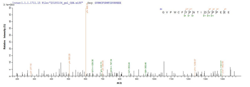 Based on the SEQUEST from database of E.coli host and target protein, the LC-MS/MS Analysis result of this product could indicate that this peptide derived from E.coli-expressed Homo sapiens (Human) TFF1.Recombinant Human Trefoil Factor 1 (TFF1) Protein (GST)