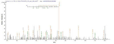Based on the SEQUEST from database of E.coli host and target protein, the LC-MS/MS Analysis result of this product could indicate that this peptide derived from E.coli-expressed Mus musculus (Mouse) Thbs2.Recombinant Mouse Thrombospondin-2 (THBS2) Protein (His)