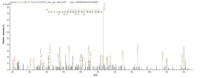 Based on the SEQUEST from database of E.coli host and target protein, the LC-MS/MS Analysis result of this product could indicate that this peptide derived from E.coli-expressed Mus musculus (Mouse) Thbs2.Recombinant Mouse Thrombospondin-2 (THBS2) Protein (His)