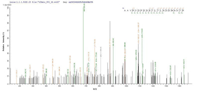 Based on the SEQUEST from database of E.coli host and target protein, the LC-MS/MS Analysis result of this product could indicate that this peptide derived from E.coli-expressed Homo sapiens (Human) THRB.Recombinant Human Thyroid Hormone Receptor Beta (THRB) Protein (His-SUMO)