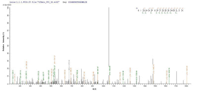 Based on the SEQUEST from database of E.coli host and target protein, the LC-MS/MS Analysis result of this product could indicate that this peptide derived from E.coli-expressed Homo sapiens (Human) THRB.Recombinant Human Thyroid Hormone Receptor Beta (THRB) Protein (His-SUMO)