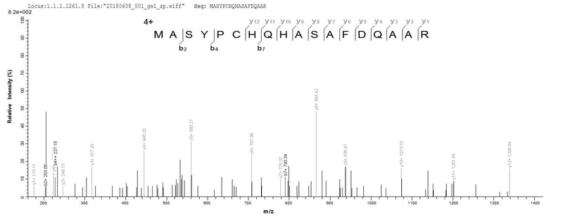 Based on the SEQUEST from database of E.coli host and target protein, the LC-MS/MS Analysis result of this product could indicate that this peptide derived from E.coli-expressed Human herpesvirus 1 (strain 17) (HHV-1) (Human herpes simplex virus 1) TK.