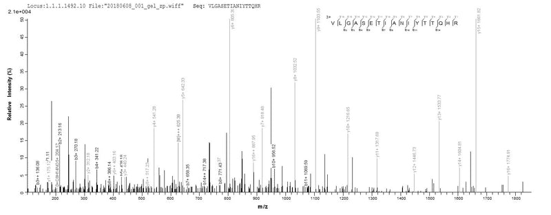 Based on the SEQUEST from database of E.coli host and target protein, the LC-MS/MS Analysis result of this product could indicate that this peptide derived from E.coli-expressed Human herpesvirus 1 (strain 17) (HHV-1) (Human herpes simplex virus 1) TK.