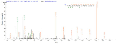 Based on the SEQUEST from database of E.coli host and target protein, the LC-MS/MS Analysis result of this product could indicate that this peptide derived from E.coli-expressed Homo sapiens (Human) TLR2.Recombinant Human Toll-Like Receptor 2 (TLR2) Protein (His-SUMO)