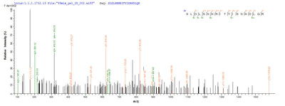 Based on the SEQUEST from database of E.coli host and target protein, the LC-MS/MS Analysis result of this product could indicate that this peptide derived from E.coli-expressed Homo sapiens (Human) TLR2.Recombinant Human Toll-Like Receptor 2 (TLR2) Protein (His-SUMO)
