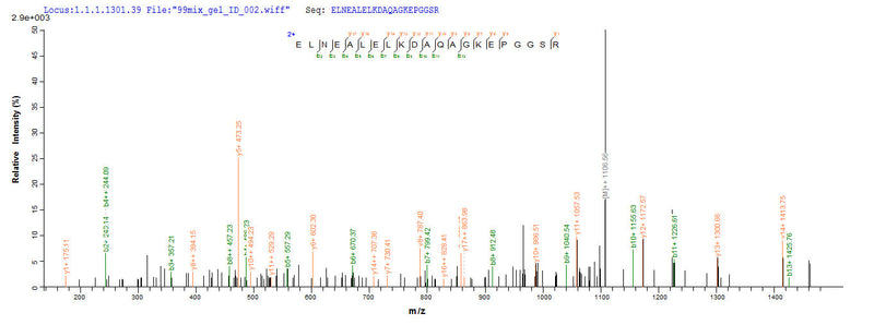 Based on the SEQUEST from database of E.coli host and target protein, the LC-MS/MS Analysis result of this product could indicate that this peptide derived from E.coli-expressed Homo sapiens (Human) TP53.