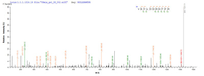 Based on the SEQUEST from database of E.coli host and target protein, the LC-MS/MS Analysis result of this product could indicate that this peptide derived from E.coli-expressed Homo sapiens (Human) TP53.