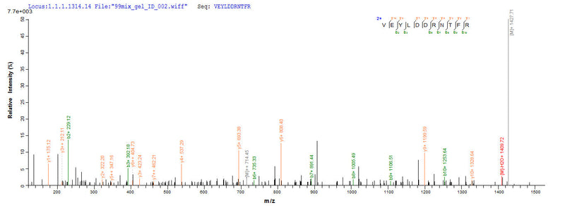 Based on the SEQUEST from database of E.coli host and target protein, the LC-MS/MS Analysis result of this product could indicate that this peptide derived from E.coli-expressed Homo sapiens (Human) TP53.
