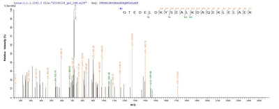 Based on the SEQUEST from database of E.coli host and target protein, the LC-MS/MS Analysis result of this product could indicate that this peptide derived from E.coli-expressed Oryctolagus cuniculus (Rabbit) TPM1.