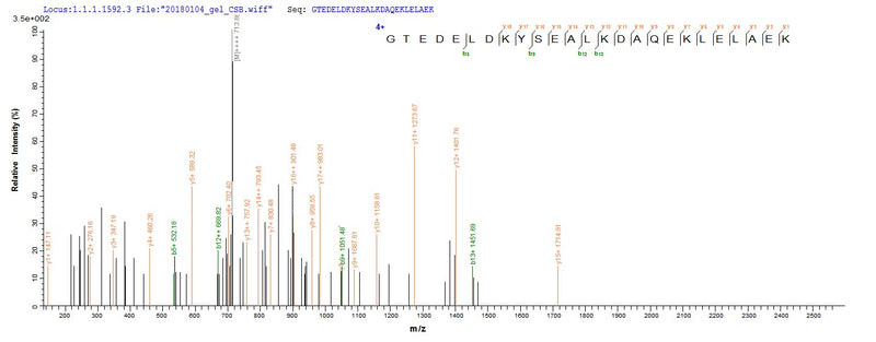 Based on the SEQUEST from database of E.coli host and target protein, the LC-MS/MS Analysis result of this product could indicate that this peptide derived from E.coli-expressed Oryctolagus cuniculus (Rabbit) TPM1.