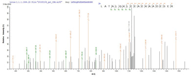 Based on the SEQUEST from database of E.coli host and target protein, the LC-MS/MS Analysis result of this product could indicate that this peptide derived from E.coli-expressed Oryctolagus cuniculus (Rabbit) TPM1.