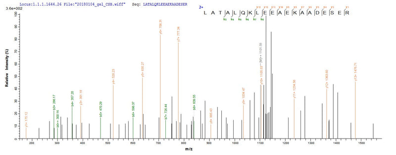Based on the SEQUEST from database of E.coli host and target protein, the LC-MS/MS Analysis result of this product could indicate that this peptide derived from E.coli-expressed Oryctolagus cuniculus (Rabbit) TPM1.