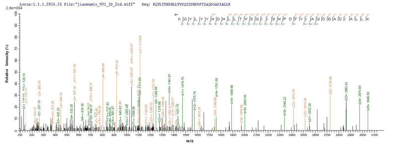 Based on the SEQUEST from database of E.coli host and target protein, the LC-MS/MS Analysis result of this product could indicate that this peptide derived from E.coli-expressed Mus musculus (Mouse) Tpsab1.Recombinant Mouse Tryptase (TPSAB1) Protein (His)