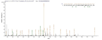 Based on the SEQUEST from database of E.coli host and target protein, the LC-MS/MS Analysis result of this product could indicate that this peptide derived from E.coli-expressed Mus musculus (Mouse) Tpsab1.Recombinant Mouse Tryptase (TPSAB1) Protein (His)