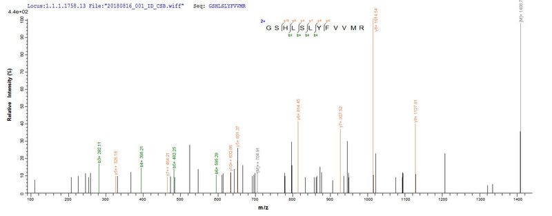 Based on the SEQUEST from database of E.coli host and target protein, the LC-MS/MS Analysis result of this product could indicate that this peptide derived from E.coli-expressed Homo sapiens (Human) TRAF5.Recombinant Human Tnf Receptor-Associated Factor 5 (TRAF5) Protein (His-SUMO)