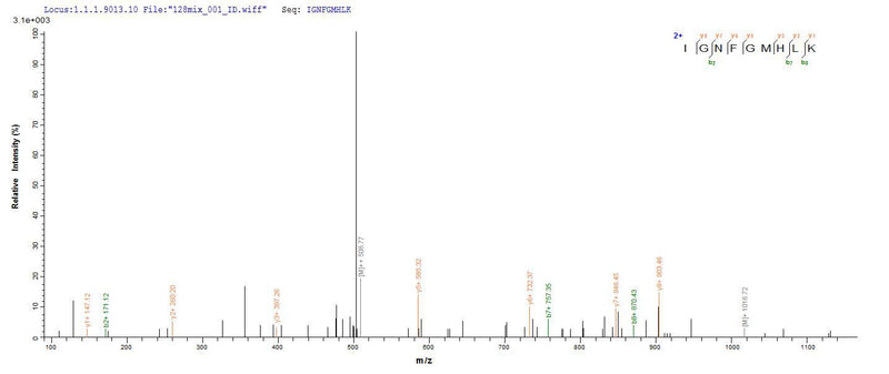 Based on the SEQUEST from database of E.coli host and target protein, the LC-MS/MS Analysis result of this product could indicate that this peptide derived from E.coli-expressed Homo sapiens (Human) TRAF6.Recombinant Human Tnf Receptor-Associated Factor 6 (TRAF6) Protein (His-SUMO)