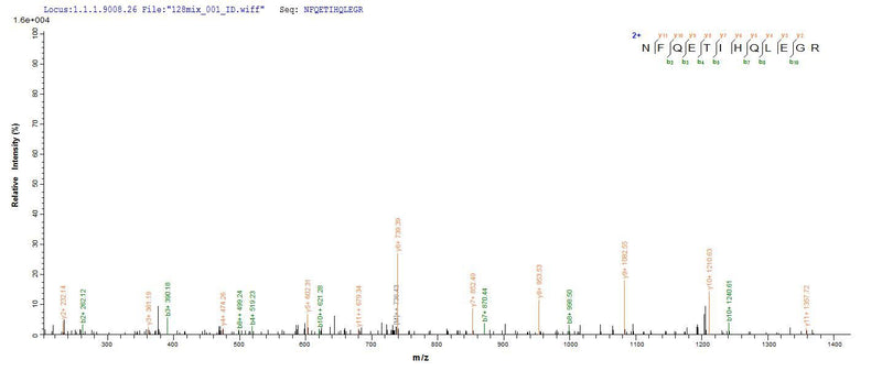 Based on the SEQUEST from database of E.coli host and target protein, the LC-MS/MS Analysis result of this product could indicate that this peptide derived from E.coli-expressed Homo sapiens (Human) TRAF6.Recombinant Human Tnf Receptor-Associated Factor 6 (TRAF6) Protein (His-SUMO)