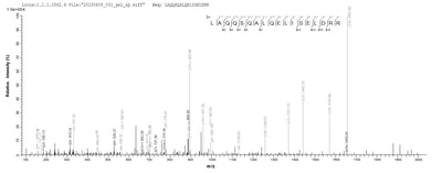 Based on the SEQUEST from database of E.coli host and target protein, the LC-MS/MS Analysis result of this product could indicate that this peptide derived from E.coli-expressed Homo sapiens (Human) TRIM21.Recombinant Human E3 Ubiquitin-Protein Ligase Trim21 (TRIM21) Protein (His)