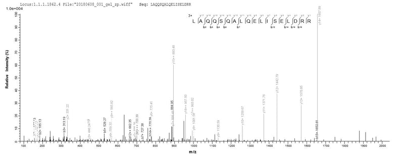 Based on the SEQUEST from database of E.coli host and target protein, the LC-MS/MS Analysis result of this product could indicate that this peptide derived from E.coli-expressed Homo sapiens (Human) TRIM21.Recombinant Human E3 Ubiquitin-Protein Ligase Trim21 (TRIM21) Protein (His)