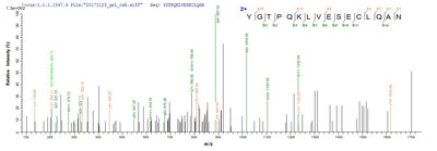 Based on the SEQUEST from database of E.coli host and target protein, the LC-MS/MS Analysis result of this product could indicate that this peptide derived from E.coli-expressed Homo sapiens (Human) TXNDC17.Recombinant Human Thioredoxin Domain-Containing Protein 17 (TXNDC17) Protein (GST)