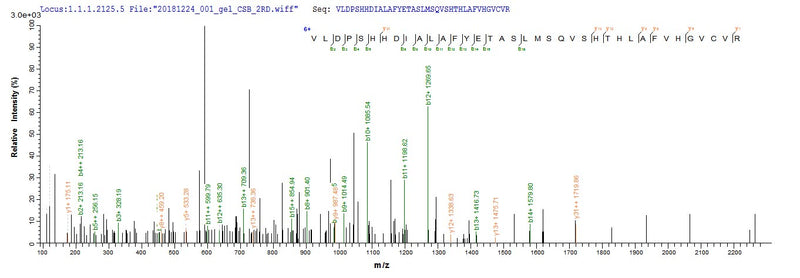 Based on the SEQUEST from database of E.coli host and target protein, the LC-MS/MS Analysis result of this product could indicate that this peptide derived from E.coli-expressed Homo sapiens (Human) TYK2.Recombinant Human Non-Receptor Tyrosine-Protein Kinase Tyk2 (TYK2) Protein (His&Myc)