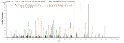 Based on the SEQUEST from database of E.coli host and target protein, the LC-MS/MS Analysis result of this product could indicate that this peptide derived from E.coli-expressed Homo sapiens (Human) TYK2.Recombinant Human Non-Receptor Tyrosine-Protein Kinase Tyk2 (TYK2) Protein (His&Myc)