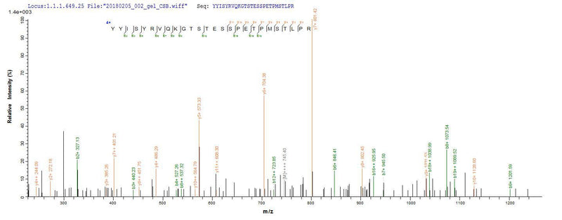 Based on the SEQUEST from database of E.coli host and target protein, the LC-MS/MS Analysis result of this product could indicate that this peptide derived from E.coli-expressed Mus musculus (Mouse) Upk2.Recombinant Mouse Uroplakin-2 (UPK2) Protein (His-GST)