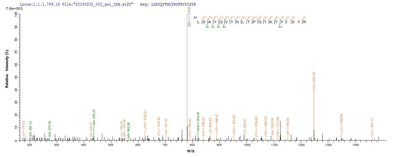 Based on the SEQUEST from database of E.coli host and target protein, the LC-MS/MS Analysis result of this product could indicate that this peptide derived from E.coli-expressed Mus musculus (Mouse) Upk2.Recombinant Mouse Uroplakin-2 (UPK2) Protein (His-GST)