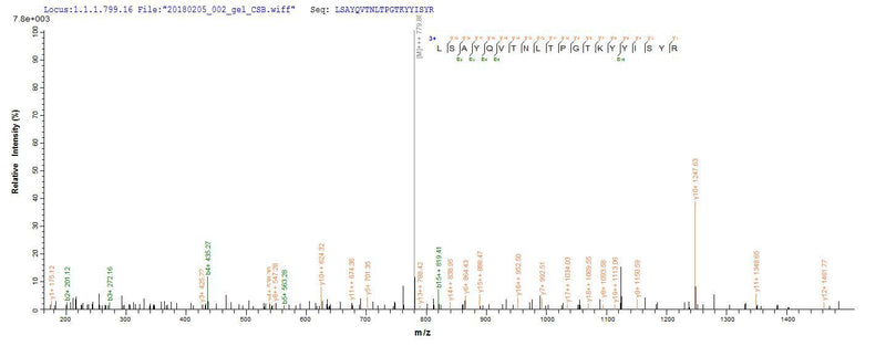 Based on the SEQUEST from database of E.coli host and target protein, the LC-MS/MS Analysis result of this product could indicate that this peptide derived from E.coli-expressed Mus musculus (Mouse) Upk2.Recombinant Mouse Uroplakin-2 (UPK2) Protein (His-GST)