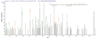 Based on the SEQUEST from database of E.coli host and target protein, the LC-MS/MS Analysis result of this product could indicate that this peptide derived from E.coli-expressed Homo sapiens (Human) VAMP2.